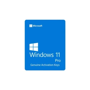 Windows 11 Pro Original License Key (Win 11), With device Setup