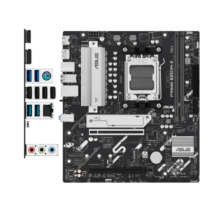 item3_pd-768x768